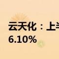 云天化：上半年净利润28.41亿元，同比增长6.10%