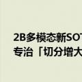 2B多模态新SOTA！华科、华南理工发布Mini-Monkey，专治「切分增大分辨率」后遗症