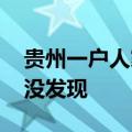 贵州一户人家惊现篮球大马蜂窝 一直住人竟没发现