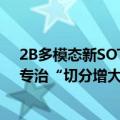 2B多模态新SOTA，华科、华南理工发布Mini-Monkey，专治“切分增大分辨率”后遗症