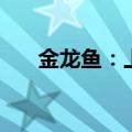 金龙鱼：上半年净利同比增长13.57%