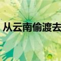 从云南偷渡去缅甸（偷渡到缅甸一般都干嘛）