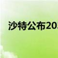 沙特公布2034年世界杯体育场馆建设计划