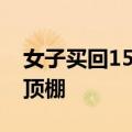 女子买回15厘米多肉4年后变3米：已戳到了顶棚