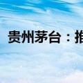 贵州茅台：推荐向平、张旭为副总经理人选