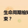 生命周期缩短，短剧的付费与免费之争何时结束？