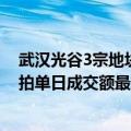 武汉光谷3宗地块拍卖成交36.77亿元，为高新区2024年土拍单日成交额最高地块