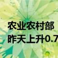 农业农村部：全国农产品批发市场猪肉均价比昨天上升0.7%