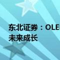 东北证券：OLED面板价格触底回升，看好中国面板厂商的未来成长