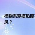 植物系穿搭热度不减，商家如何在小红书乘上内容趋势的东风？