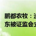 鹏都农牧：涉嫌信披违法违规，公司及控股股东被证监会立案