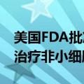 美国FDA批准阿斯利康重磅药物Imfinzi用于治疗非小细胞肺癌