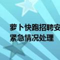 萝卜快跑招聘安全员优先录用老司机：负责数据跟踪采集、紧急情况处理