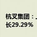 杭叉集团：上半年净利润10.07亿元，同比增长29.29%