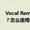 Vocal Remover and Isolation有哪些功能？怎么使用方法详细教程指南