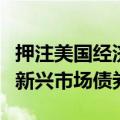 押注美国经济软着陆，摩根大通等投资者增持新兴市场债券