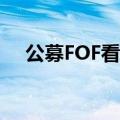 公募FOF看上REITs，配置力度有望加强