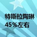 特斯拉陶琳：上海储能超级工厂建设进度已达45%左右