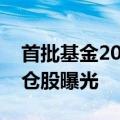 首批基金2024年中期报告出炉，基金隐形重仓股曝光