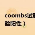 coombs试验阳性输血注意事项（coombs试验阳性）