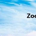 Zoom上调全年营收展望