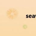 seaways秘籍（seaway）