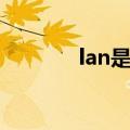 lan是什么接口（lan是什么）