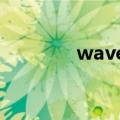 wave 教程（wavecn教程）