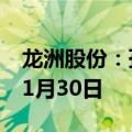 龙洲股份：孙公司中汽宏远延长停工停产至11月30日