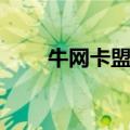 牛网卡盟官网登录平台（牛网卡盟）