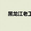 黑龙江老工业基地发力低空经济新赛道