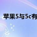 苹果5与5c有什么区别（苹果5和5c的区别）