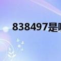 838497是哪家上市公司的代码（8384）