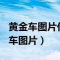 黄金车图片价值285亿每一公里多少钱（黄金车图片）