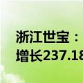 浙江世宝：上半年净利润6688.78万元 同比增长237.18%