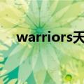 warriors天下足球（天下足球里瓦尔多）