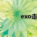 exo走了几个人（exo谁走了）