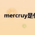 mercruy是什么意思（mercy是什么意思）