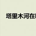 塔里木河在哪个省?（塔里木河在哪个省）