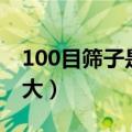 100目筛子是多少mm的（100目筛子孔径多大）