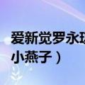 爱新觉罗永琪和小燕子的故事（爱新觉罗永琪小燕子）