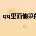 qq里面偷菜的游戏叫什么名字（qq偷菜挂）