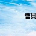 曹其军作文模板（曹其军）