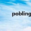 pobling洁面刷多少钱（pobling）