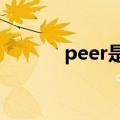 peer是什么（peers什么意思）