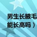 男生长腋毛还能长高吗16岁（男生长腋毛还能长高吗）