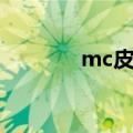 mc皮肤怎么导入（mc皮肤）