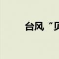 台风“贝碧嘉”已经进入南京市内