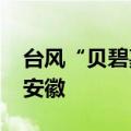 台风“贝碧嘉”预计将于16日23时前后进入安徽