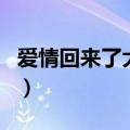 爱情回来了大结局是什么（爱情回来了大结局）